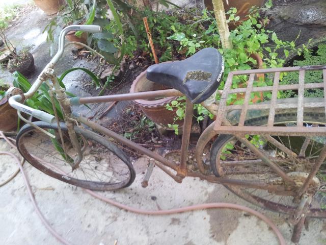 Name:  2011-12-30 17.44.20.jpg
Views: 428
Size:  66.3 KB