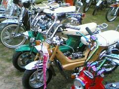 Name:  4be25c30af2cf037b2b171b04.jpg
Views: 155
Size:  15.8 KB