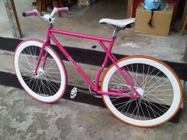 Name:  Bang Hua Suea-20120103-00367.jpg
Views: 649
Size:  60.2 KB