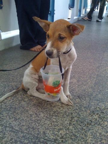 Name:  196688b008840af332f8196957022941_view.jpg
Views: 487
Size:  31.3 KB