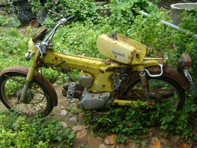 Name:  DSC09349.JPG
Views: 1058
Size:  131.5 KB