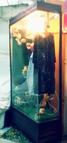 Name:  11927818-2.jpg
Views: 1128
Size:  16.8 KB