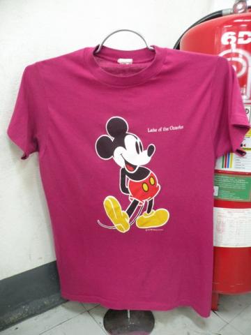 Name:  dscn7784.jpg
Views: 339
Size:  20.5 KB