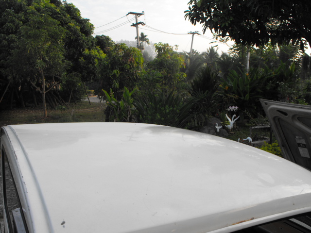 Name:  DSCF5735.JPG
Views: 647
Size:  132.1 KB