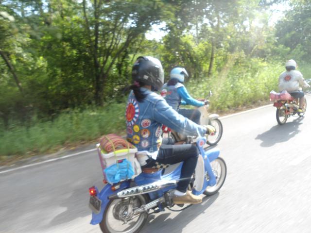 Name:  DSC01445.jpg
Views: 1078
Size:  47.5 KB