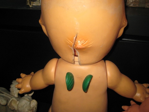 Name:  IMG_4374.jpg
Views: 956
Size:  51.0 KB