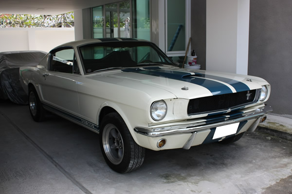 Name:  mustang1-1.jpg
Views: 10014
Size:  58.3 KB