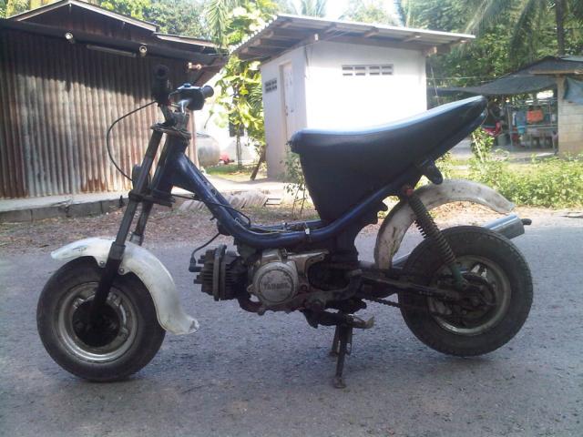 Name:  IMG-20120102-01839.jpg
Views: 1810
Size:  55.5 KB