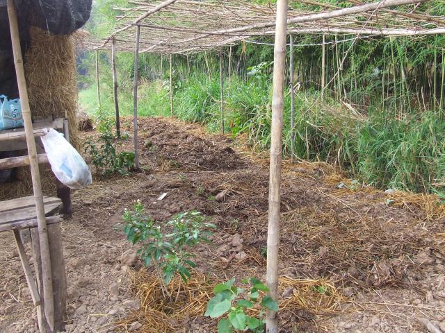 Name:  DSCF0264.jpg
Views: 524
Size:  100.6 KB