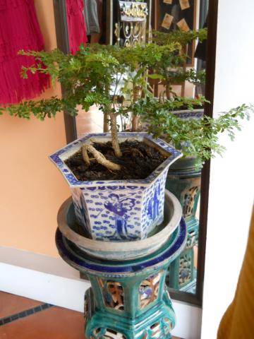 Name:  DSCN9119.jpg
Views: 1368
Size:  33.8 KB