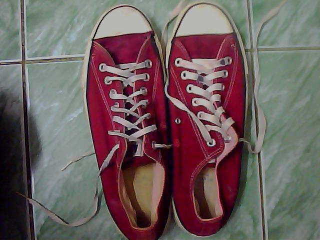Name:  Picture 019.jpg
Views: 762
Size:  46.0 KB