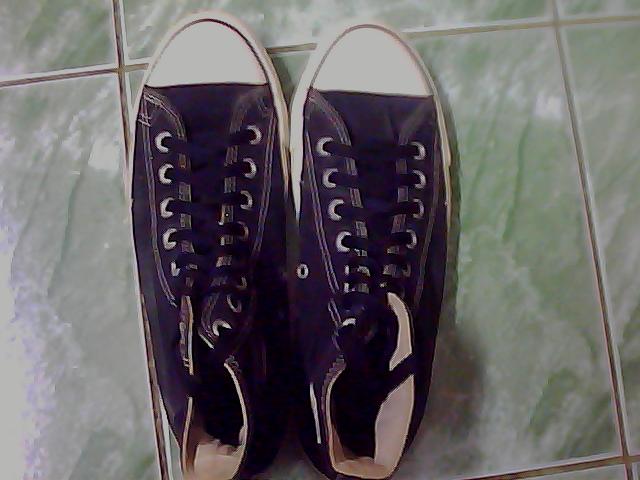 Name:  Picture 026.jpg
Views: 684
Size:  38.3 KB