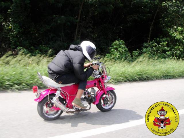 Name:  33.jpg
Views: 618
Size:  50.0 KB
