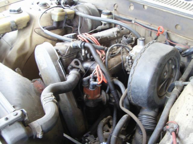 Name:  resized_S73F4330.jpg
Views: 989
Size:  48.2 KB