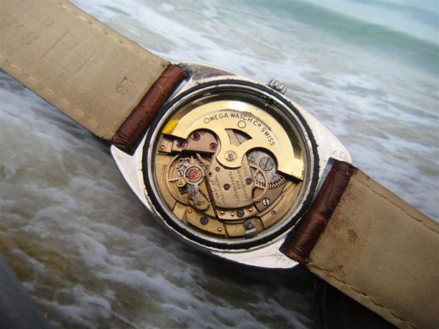 Name:  DSC02372 (Medium).jpg
Views: 684
Size:  41.2 KB