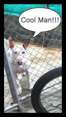 Name:  01.jpg
Views: 136
Size:  28.2 KB