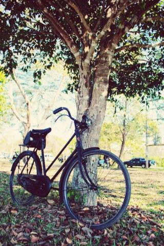 Name:  398520_283915021675957_100001723856068_664381_945568132_n.jpg
Views: 341
Size:  49.0 KB