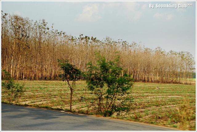 Name:  DSC_0068.jpg
Views: 1143
Size:  61.9 KB