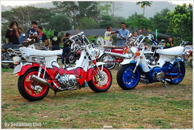 Name:  DSC_0081.jpg
Views: 1203
Size:  85.3 KB