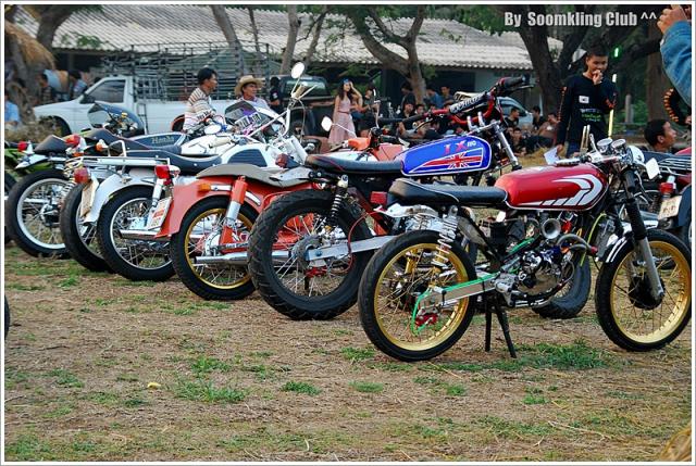 Name:  DSC_0083.jpg
Views: 1149
Size:  90.0 KB