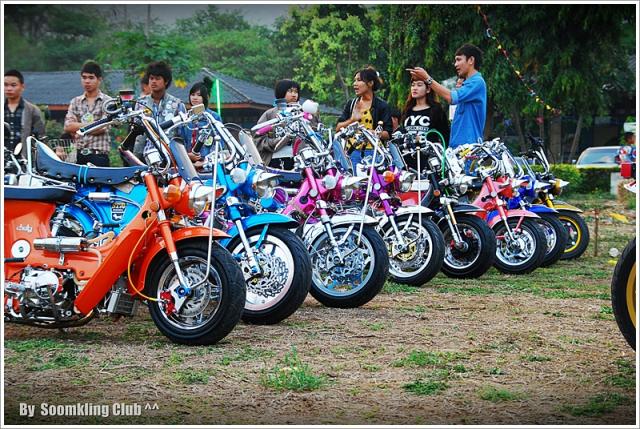 Name:  DSC_0084.jpg
Views: 1220
Size:  91.2 KB