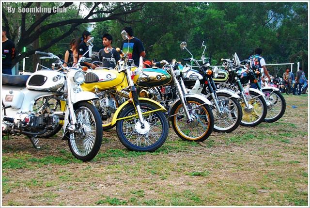 Name:  DSC_0085.jpg
Views: 1134
Size:  86.7 KB