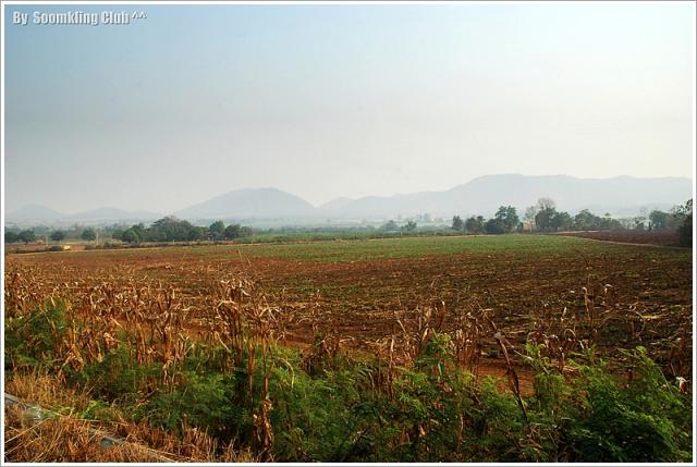Name:  DSC_0318.jpg
Views: 525
Size:  50.7 KB