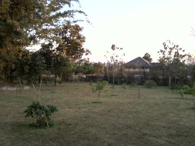 Name:  Photo-0152.jpg
Views: 258
Size:  48.2 KB
