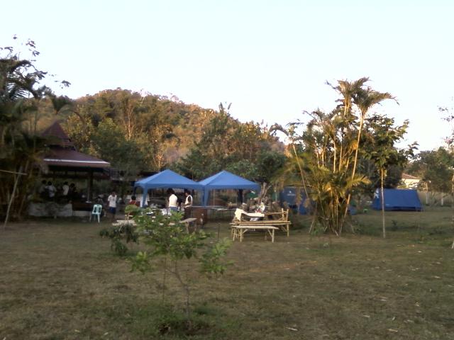Name:  Photo-0154.jpg
Views: 255
Size:  44.2 KB