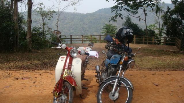 Name:  DSC02915.jpg
Views: 1825
Size:  45.1 KB