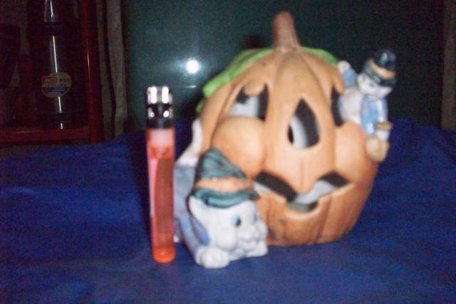 Name:  113_2701.jpg
Views: 344
Size:  32.4 KB