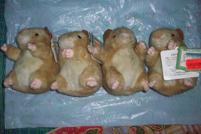 Name:  113_2687.jpg
Views: 706
Size:  45.0 KB