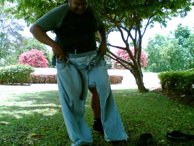 Name:  Image(364).jpg
Views: 556
Size:  71.9 KB