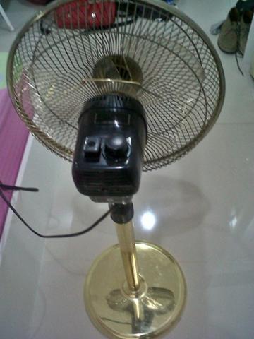 Name:  IMG07854-20120207-0027.jpg
Views: 399
Size:  24.6 KB