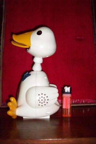 Name:  113_2716.jpg
Views: 656
Size:  15.7 KB