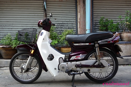 Name:  P1090754.JPG
Views: 15188
Size:  69.5 KB