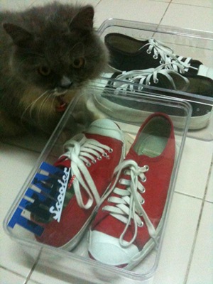 Name:  427149_367258769953458_100000080132019_1452551_1189910257_n.jpg
Views: 1215
Size:  42.9 KB