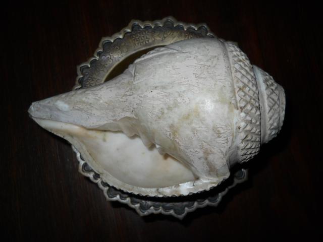 Name:  DSCN9325.jpg
Views: 3270
Size:  26.7 KB