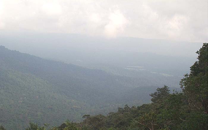 Name:  NP9S1T1P1N6E.jpg
Views: 2542
Size:  33.0 KB