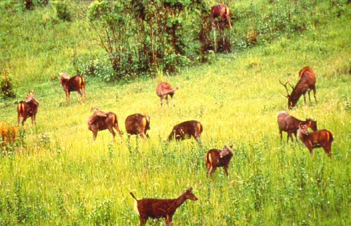 Name:  ͧѵ,  طҹ觪ҵ˭.jpg
Views: 3921
Size:  56.2 KB