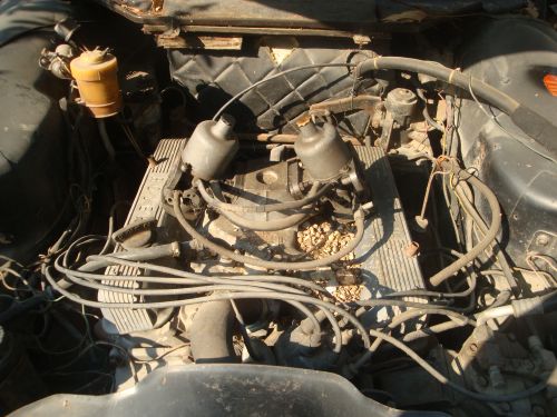 Name:  resized_DSC02827.jpg
Views: 3425
Size:  48.1 KB