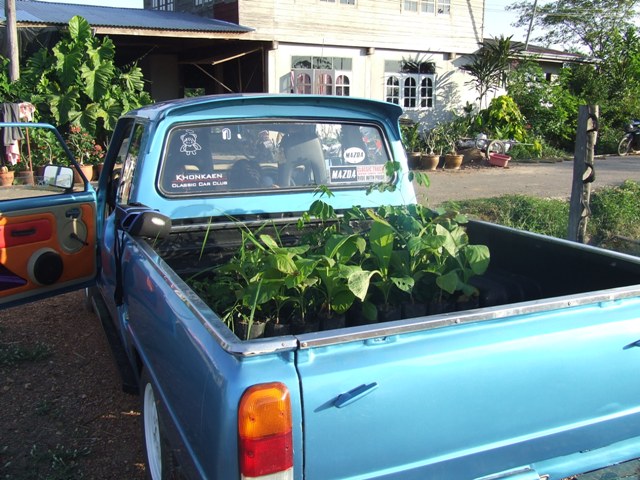 Name:  DSCF8944.JPG
Views: 629
Size:  101.2 KB