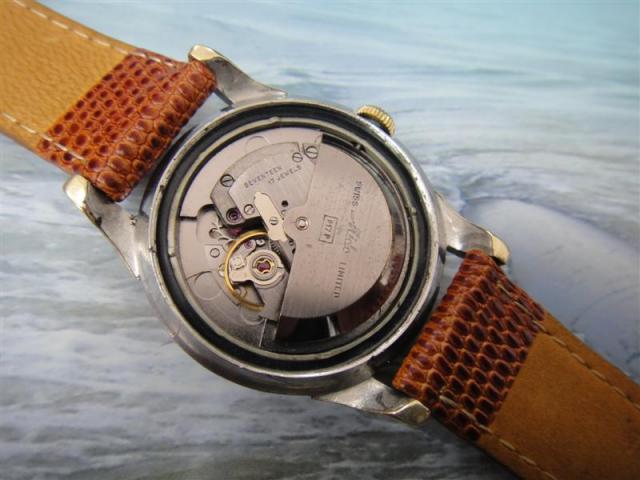 Name:  DSC02553 (Medium).jpg
Views: 724
Size:  40.6 KB