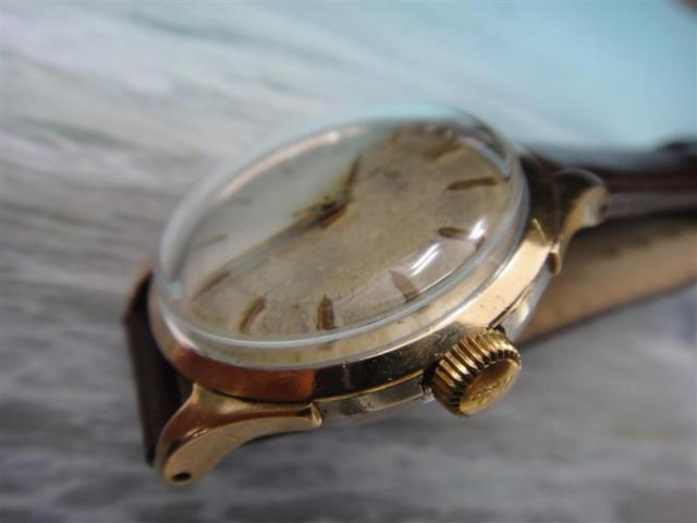 Name:  DSC02565 (Medium).jpg
Views: 732
Size:  22.6 KB