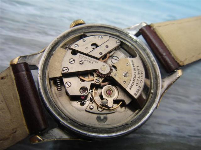 Name:  DSC02568 (Medium).jpg
Views: 706
Size:  41.4 KB