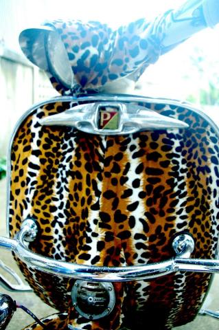 Name:  401490_2451688901708_1536574078_31754304_688781602_n.jpg
Views: 801
Size:  42.5 KB