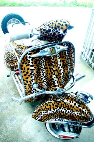 Name:  397108_2451689741729_1536574078_31754305_368039568_n.jpg
Views: 1220
Size:  45.0 KB