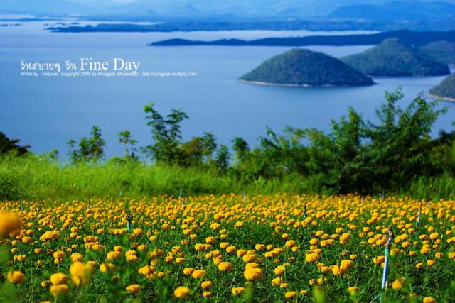 Name:  image006.jpg
Views: 540
Size:  58.2 KB