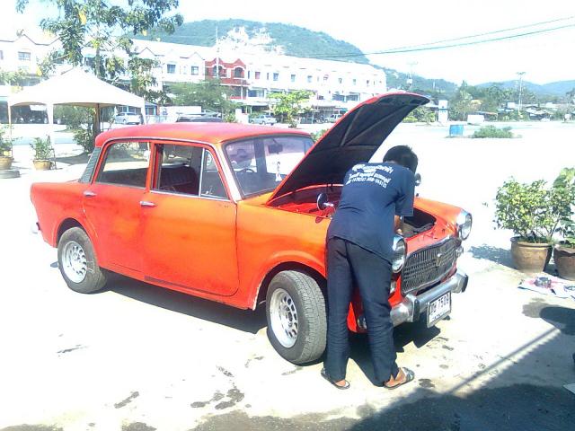 Name:  TOFFEE2642.jpg
Views: 2140
Size:  56.3 KB