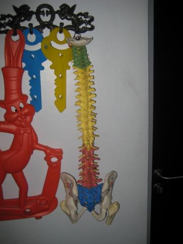 Name:  IMG_4717.jpg
Views: 660
Size:  19.3 KB